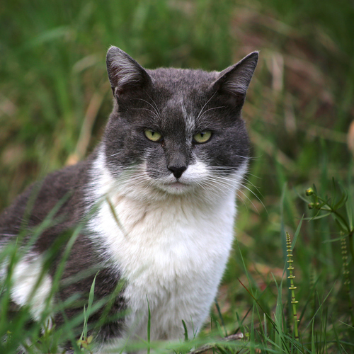 Photo #14044040