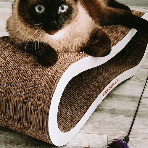Photo #14044062