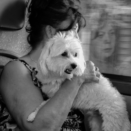 Photo #14044097