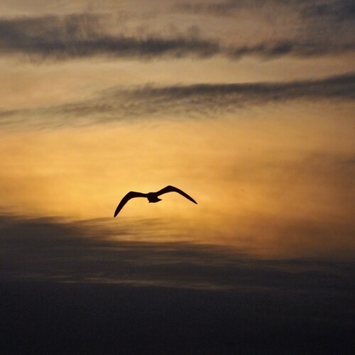 Photo #14044128