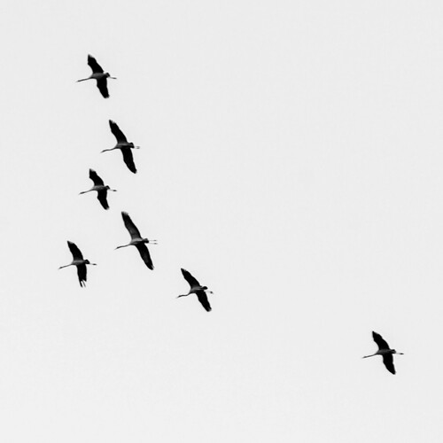 Photo #14044129