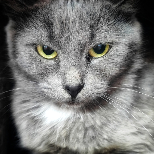 Photo #14044142