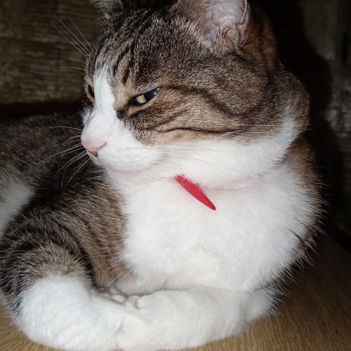 Photo #14044267