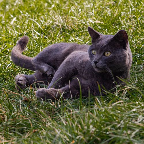 Photo #14044279
