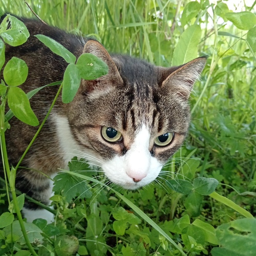 Photo #14044362