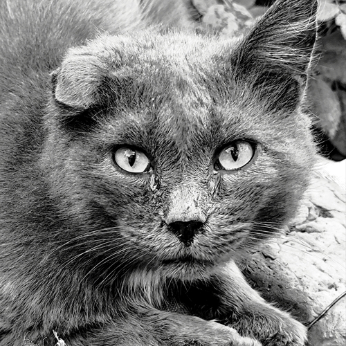 Photo #14044365