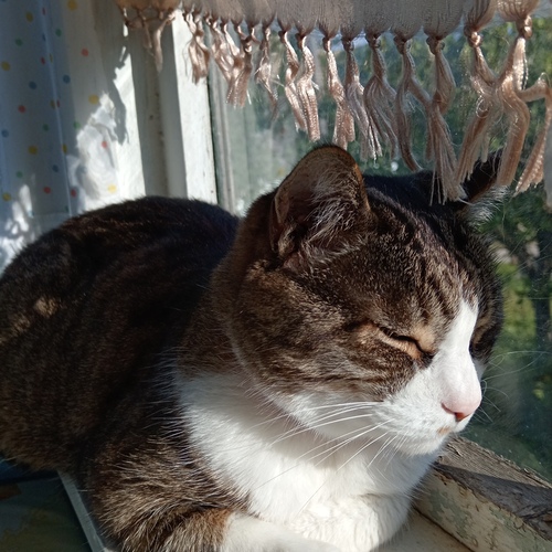 Photo #14044366