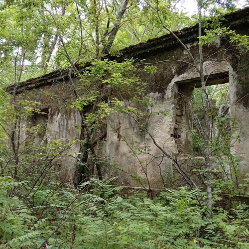 Photo #14044378