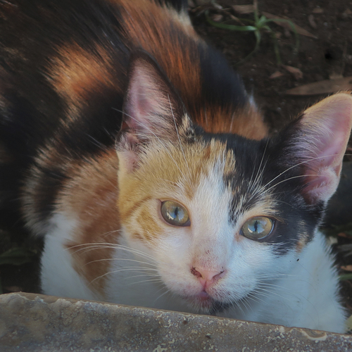 Photo #14044379