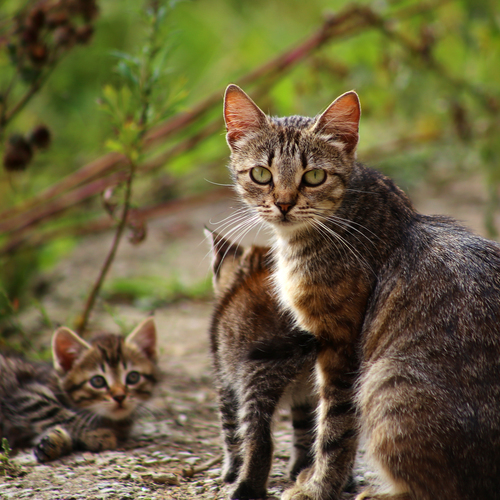 Photo #14044422