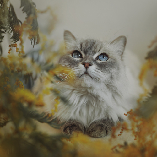Photo #14044434
