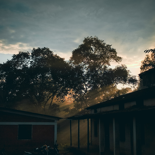 Photo #14044480