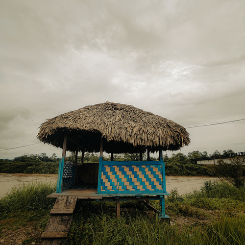 Photo #14044502