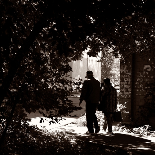 Photo #14044517