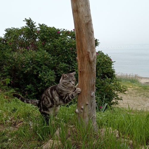 Photo #14044557