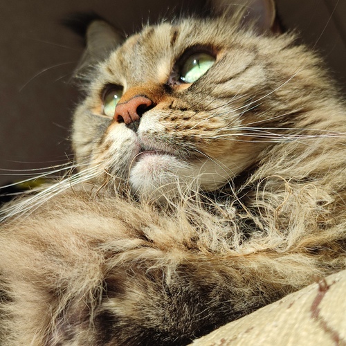 Photo #14044659