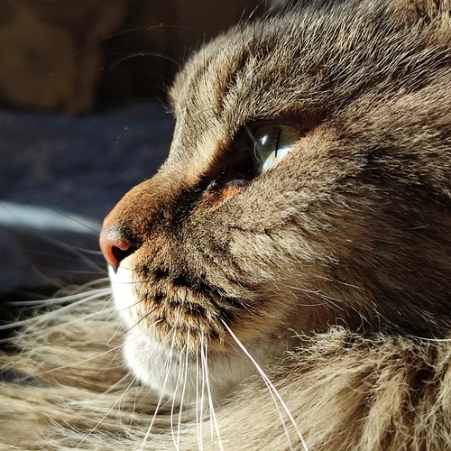 Photo #14044660