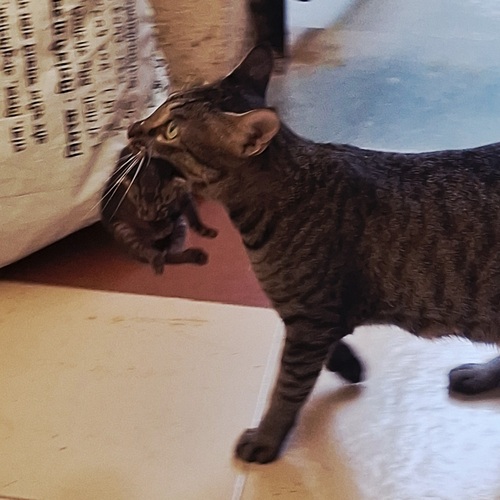 Photo #14044683