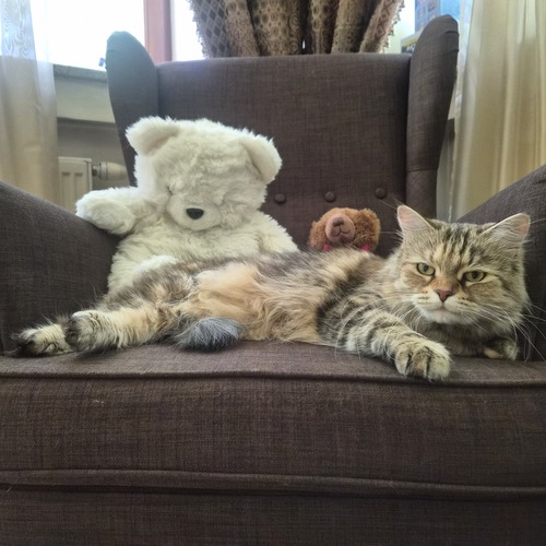 Photo #14044700