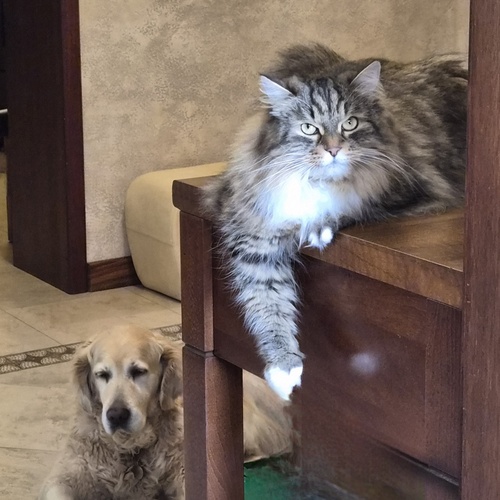 Photo #14044704