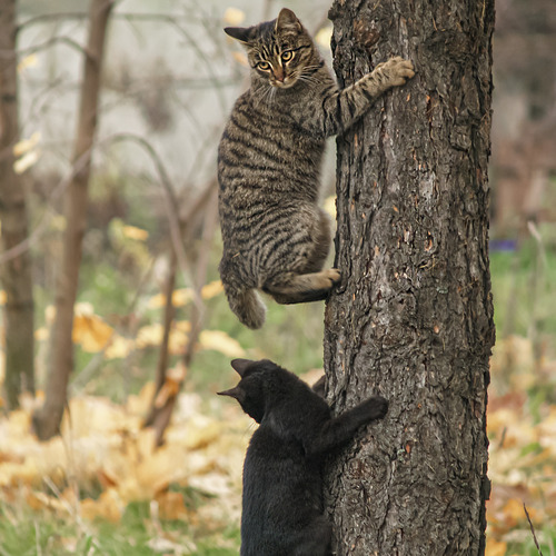 Photo #14044724