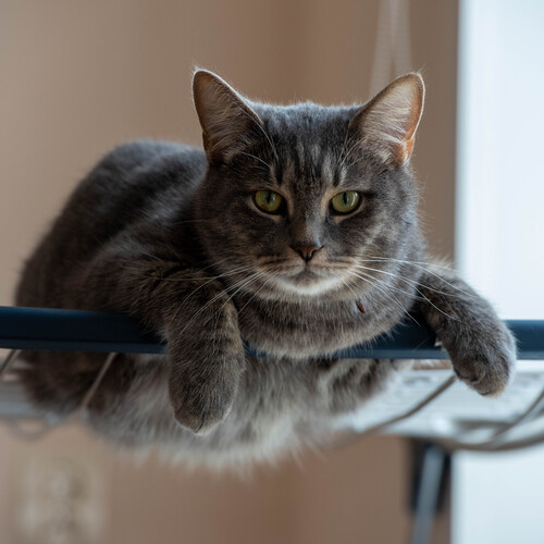 Photo #14044745