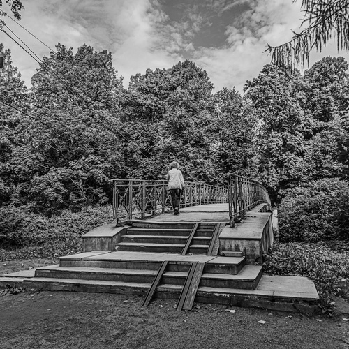 Photo #14044752