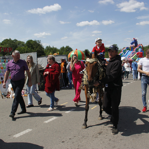 Photo #14044784