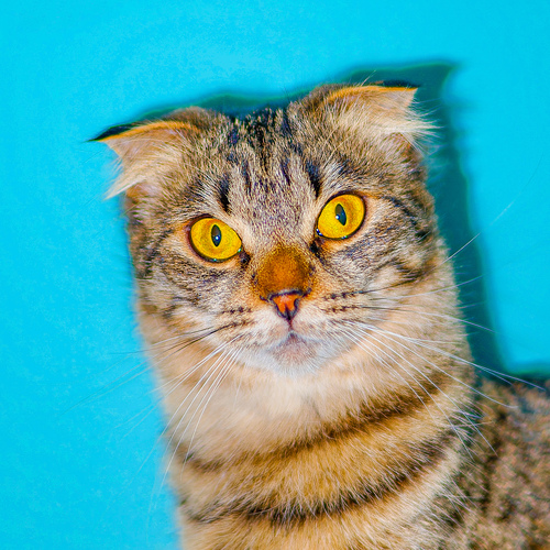 Photo #14044786