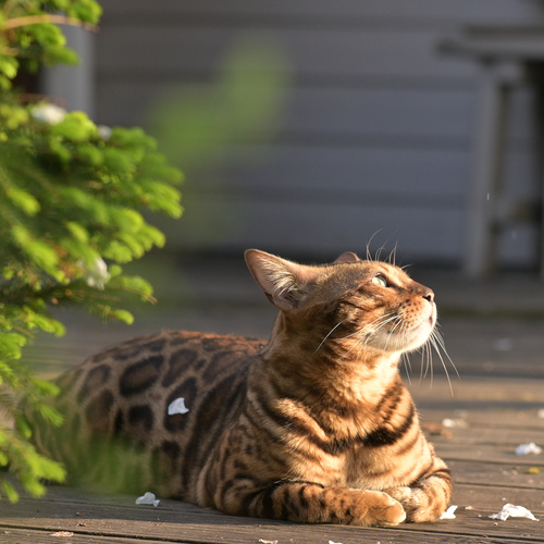 Photo #14044787