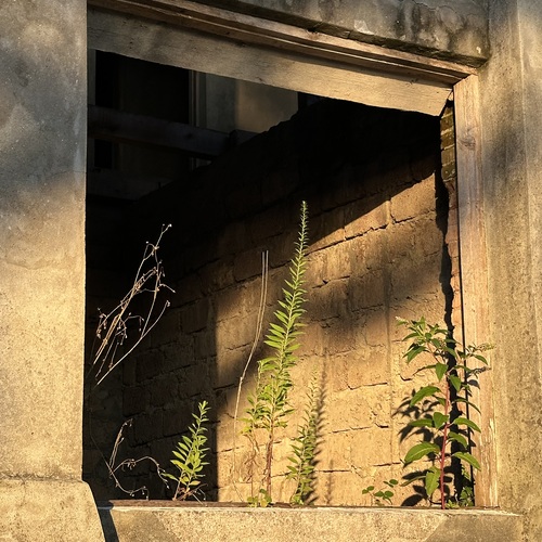 Photo #14044794