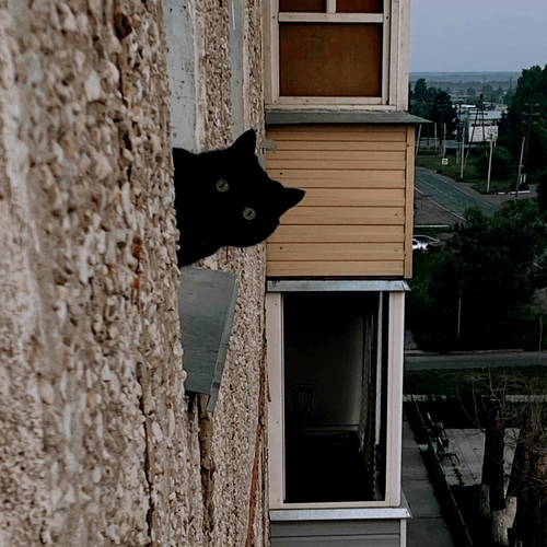 Photo #14044799