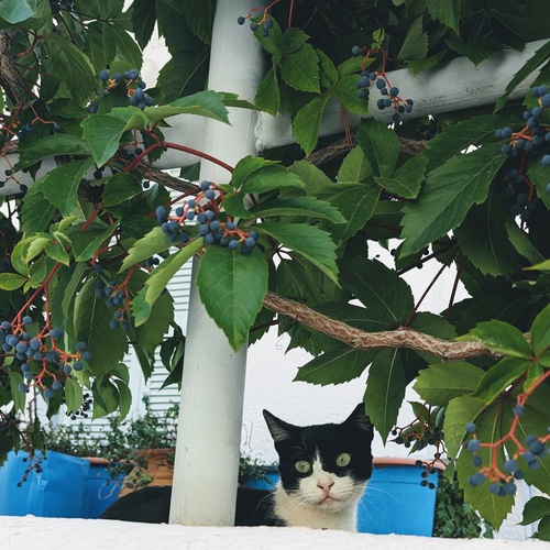 Photo #14044830