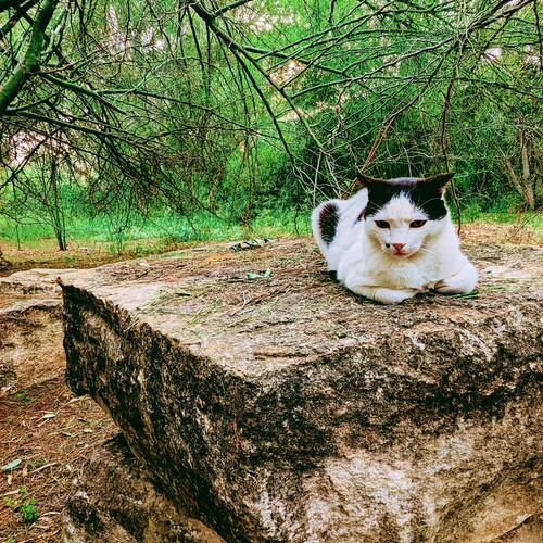 Photo #14044831