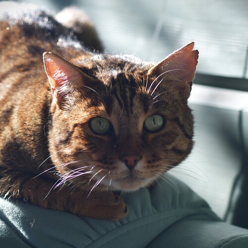 Photo #14044940