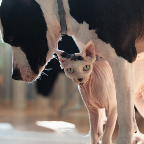Photo #14044949
