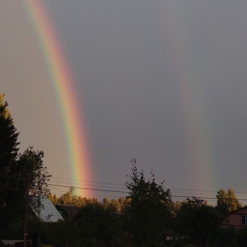Photo #14044950