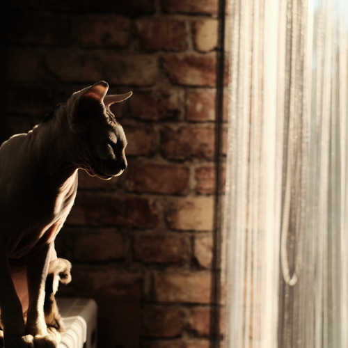 Photo #14044951