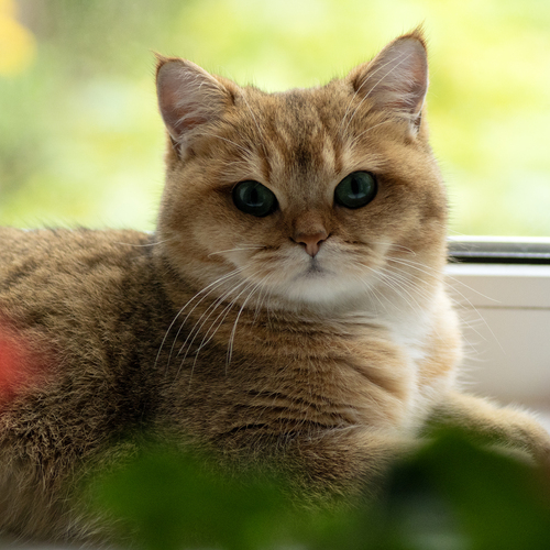 Photo #14044993