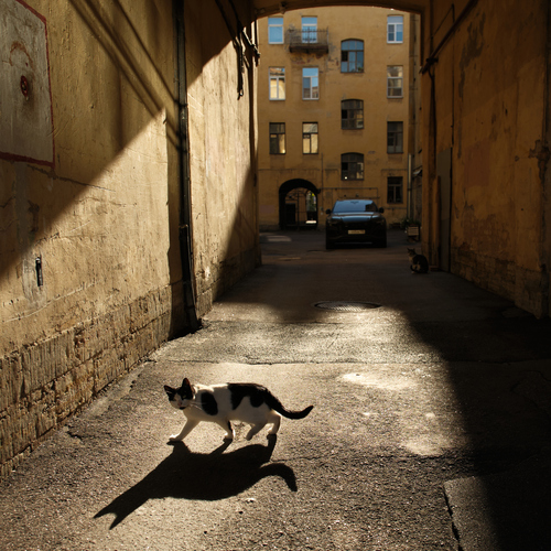 Photo #14045022
