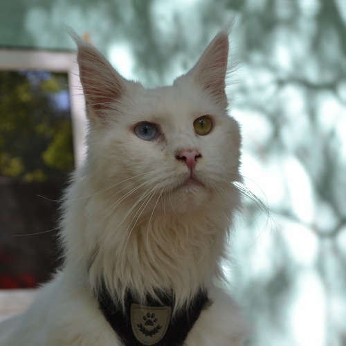 Photo #14045045