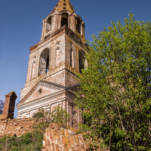 Photo #14045067