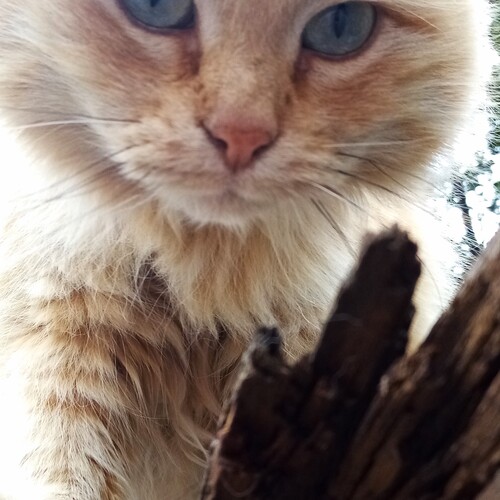 Photo #14045082