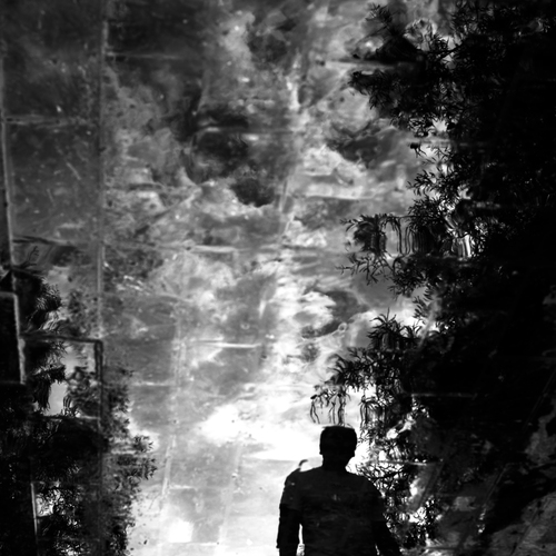 Photo #14045253