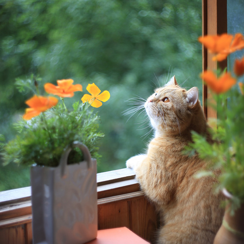 Photo #14045256