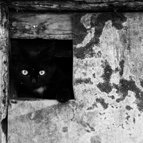 Photo #14045284