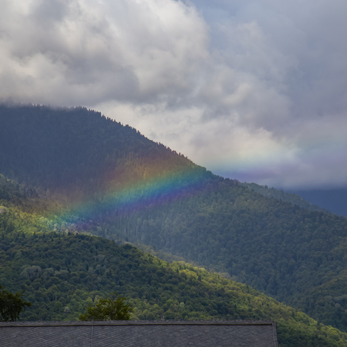 Photo #14045285