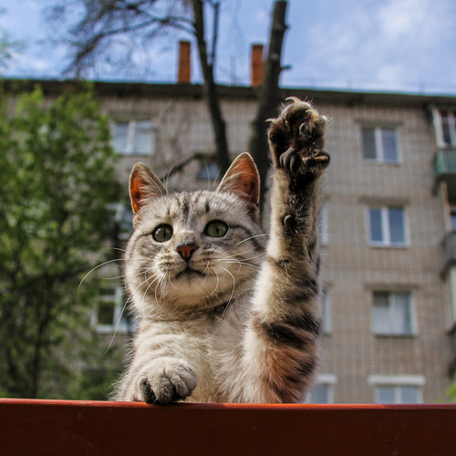 Photo #14045289