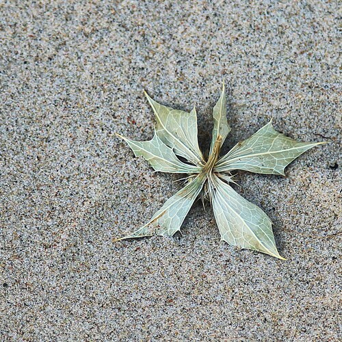 Photo #14045335