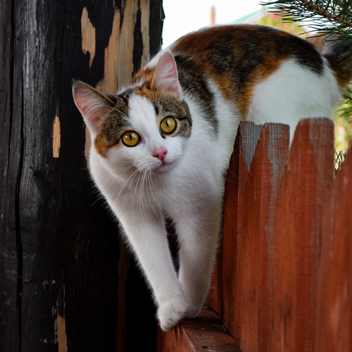 Photo #14045377